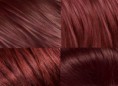/album/galerie-de-photos/l-oreal-couleur-tendances-julianne-moore-2-jpg/